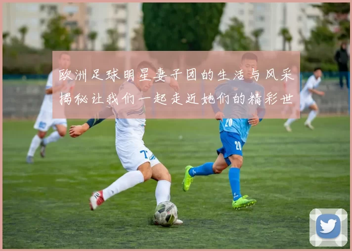 欧洲足球明星妻子团的生活与风采揭秘让我们一起走近她们的精彩世界