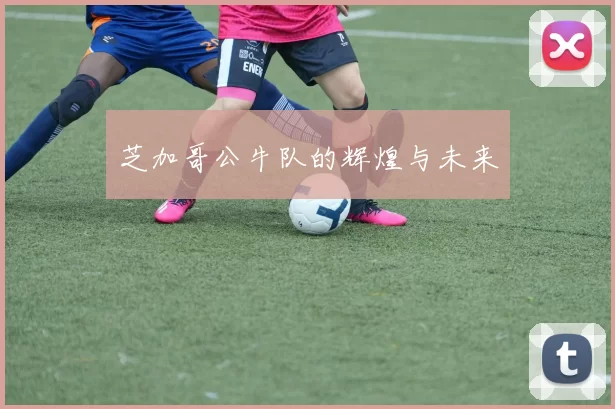 芝加哥公牛队的辉煌与未来