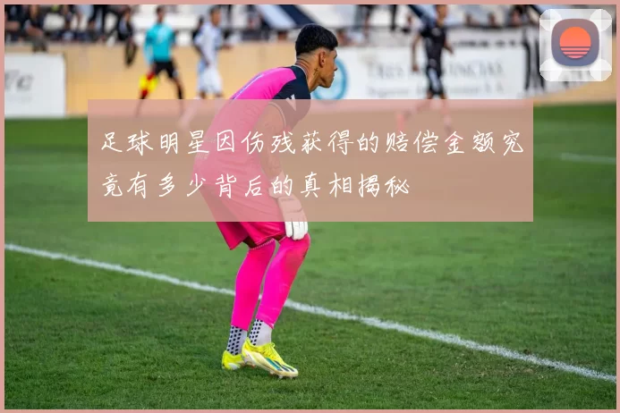 足球明星因伤残获得的赔偿金额究竟有多少背后的真相揭秘