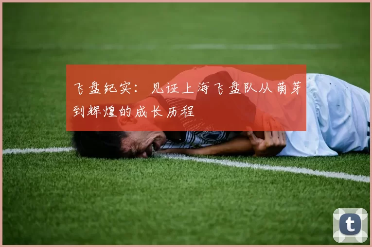 飞盘纪实：见证上海飞盘队从萌芽到辉煌的成长历程