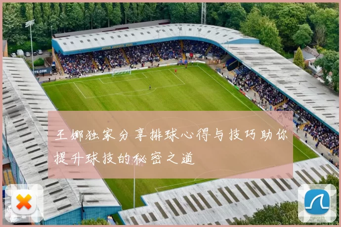 王娜独家分享排球心得与技巧助你提升球技的秘密之道