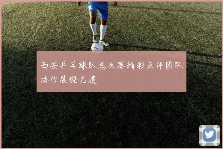 西安乒乓球队总决赛精彩点评团队协作展现无遗