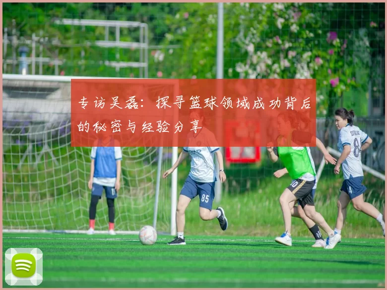 专访吴磊：探寻篮球领域成功背后的秘密与经验分享