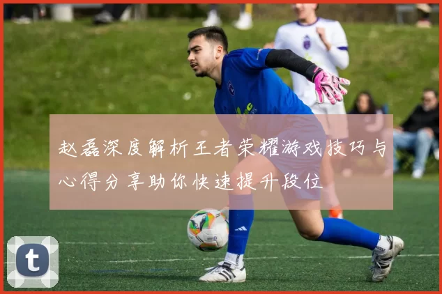 赵磊深度解析王者荣耀游戏技巧与心得分享助你快速提升段位