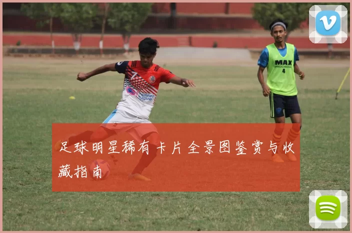 足球明星稀有卡片全景图鉴赏与收藏指南