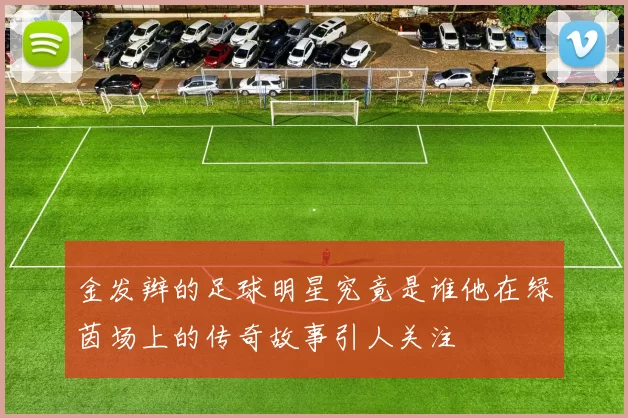 金发辫的足球明星究竟是谁他在绿茵场上的传奇故事引人关注