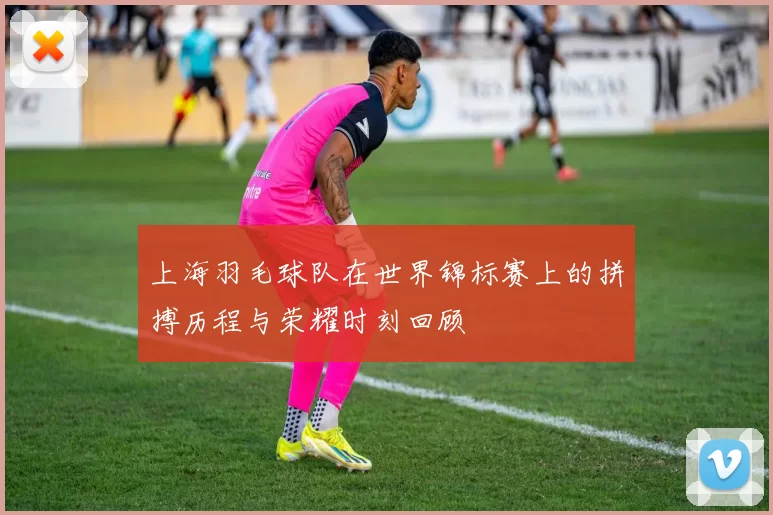 上海羽毛球队在世界锦标赛上的拼搏历程与荣耀时刻回顾
