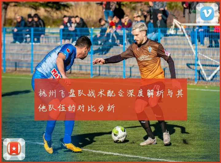 杭州飞盘队战术配合深度解析与其他队伍的对比分析