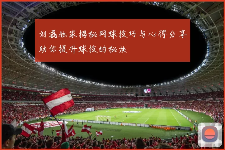 刘磊独家揭秘网球技巧与心得分享助你提升球技的秘诀