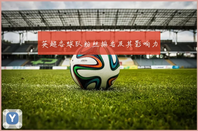 英超各球队粉丝排名及其影响力