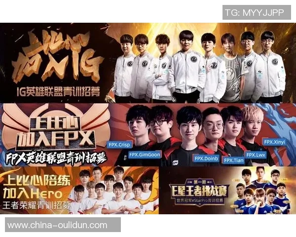 王者荣耀深度解析：FPX战队的耐力与策略背后故事