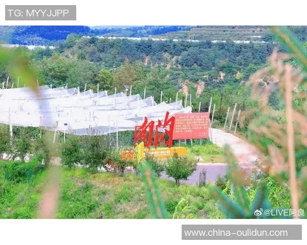 北京攀岩队的奋斗历程与成长故事全景纪实