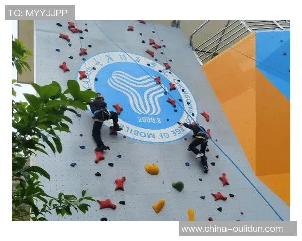 武汉攀岩队中路突破的成功与挑战分析及未来发展方向探讨