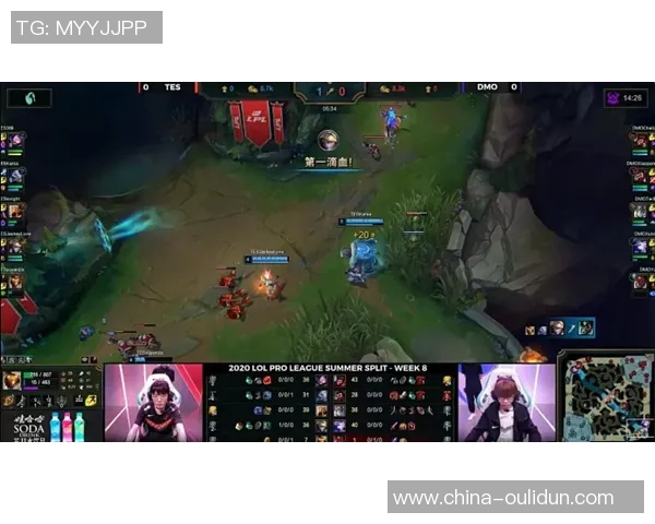 TES阵地战深度解析：英雄联盟战术演变与团队协作探讨